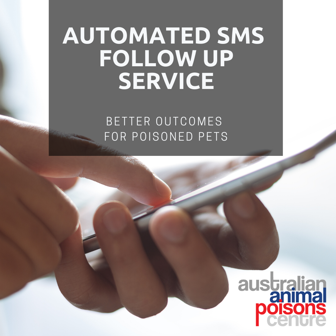 AUTOMATED-SMS-FOLLOW-UP-SERVICE